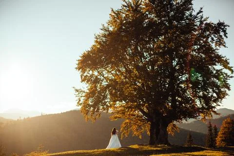 Sun rays sparkle between couple watching sunset through the tree Stock Photos