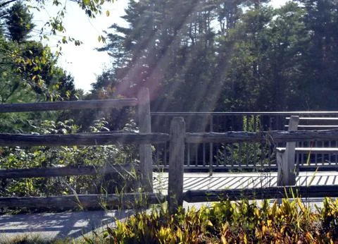 Sun rays streaking onto a garden path Stock Photos