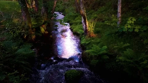Sun rays in the stream water. Stock Footage 106080344