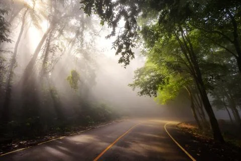 Sun rays at street Stock Photos