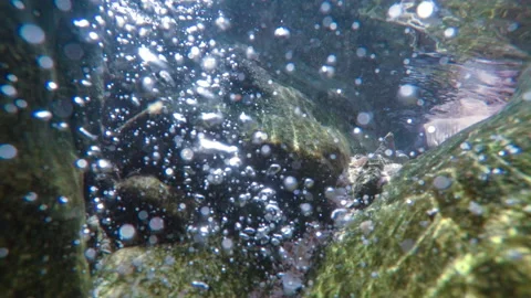 Sun rays sun beams underwater. Underwater shot of ecosystem and ocean floor in Stock Footage 133127571