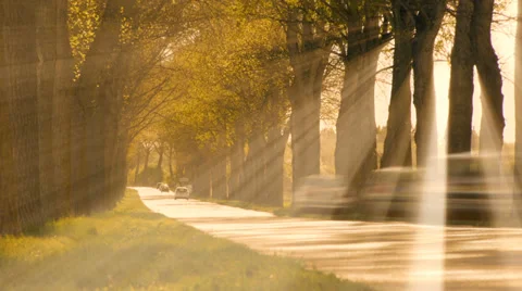 Sun rays. sunbeam. trees grove branches. beaming light. street road cars Stock Footage 39820437