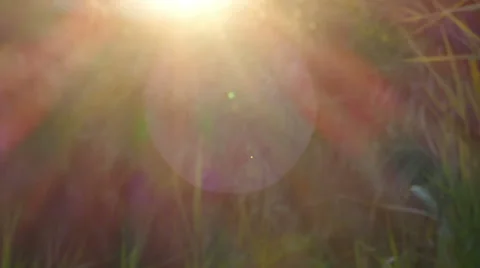 Sun rays / Sunlight Stock Footage 67222806