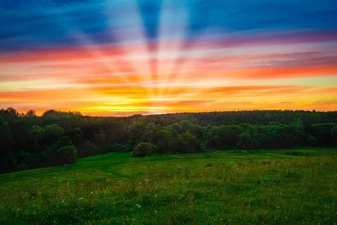 Sun rays sunrise trees sunrays at dawn pass through the branches of a tree... Stock Photos