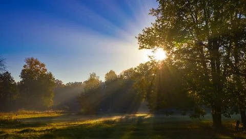Sun rays sunrise trees sunrays at dawn pass through the branches of a tree... Stock Photos