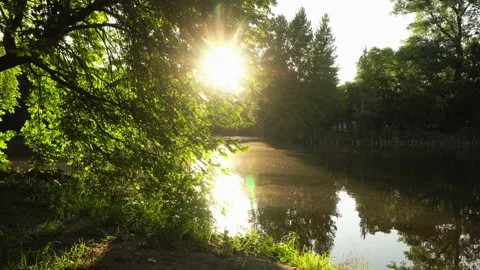 Sun rays at sunset Stock Footage 139767311