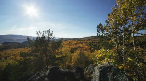 Sun rays through the autumn forest Stock Footage 23569589