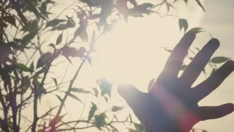 Sun rays through children fingers palm Stock Footage 70240670