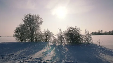 Sun rays through frosted trees walking shot Stock Footage 72640931