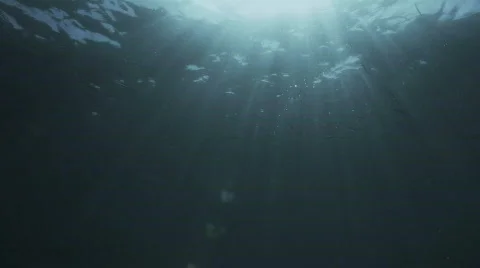Sun Rays through the Ocean HD Stock Footage 398648
