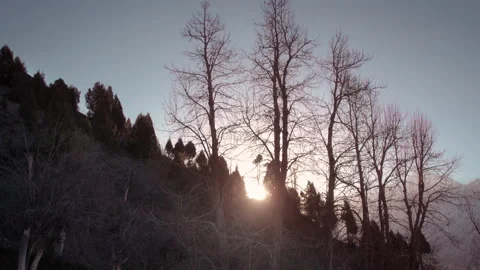 Sun rays through trees, Aerial View Of Beautiful Landscape. Stock Footage 197503251