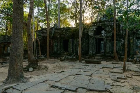 Sun rays through trees at Ta Nei temple ruins Stock Photos