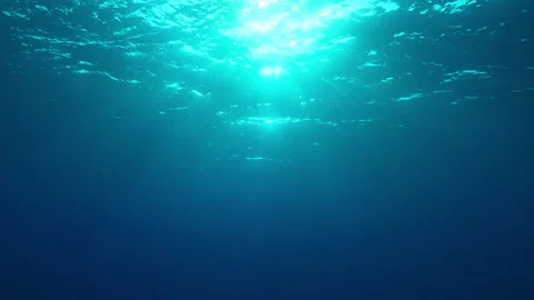 Sun rays through water close tio surface Stock Footage 235010736
