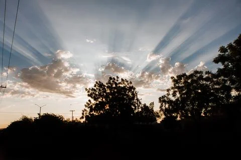 Sun rays, trees,sunrise Stock Photos