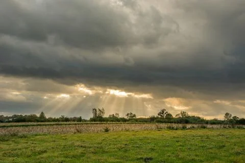 Sun rays under clouds and meadow Stock Photos