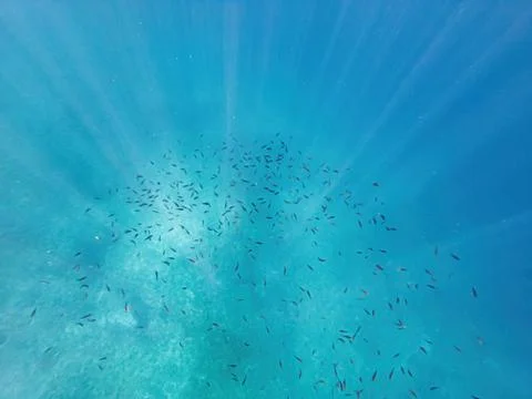 Sun rays in the water column. Stock Photos