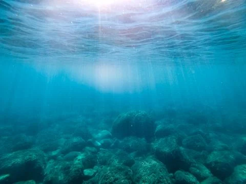 Sun rays in the water column. Stock Photos