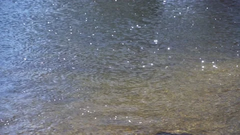 Sun rays on the water surface Stock Footage 142675483