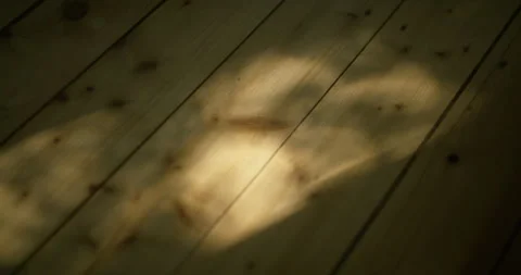 Sun rays on wooden floor, shadowplay, morning sun Stock Footage 253015678