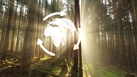 Sun rays woods with environment earth globe animation Stock Footage 334080072