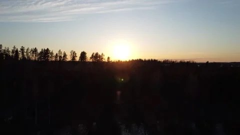 Sun reaching out of the forest, Flyby Drone footage Video stock 306313743
