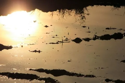 Sun reflect on river Stock Photos