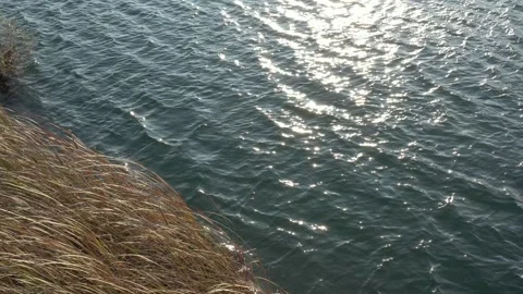 Sun reflected on lake water surface 4K aerial footage Stock Footage 99772575