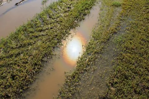 The sun is reflected in a puddle in the water Stock Photos