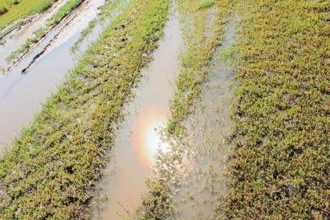 The sun is reflected in a puddle in the water Stock Photos