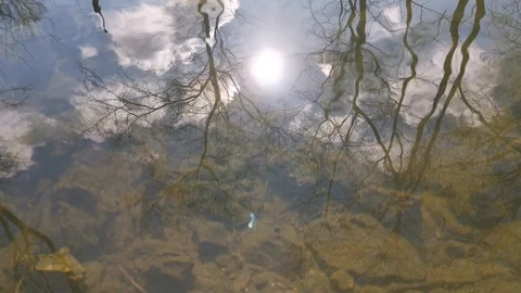 The sun is reflected in the spring river 4K Stock Footage 125817283