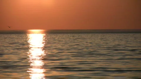 Sun is reflected off surface of the water (High Definition) Stock Footage 364974