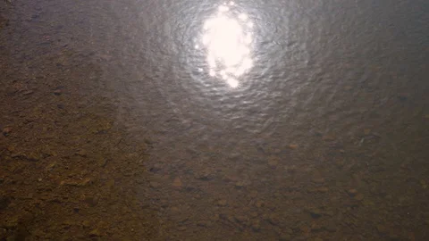 The sun is reflected in a transparent river Stock Footage 128210722