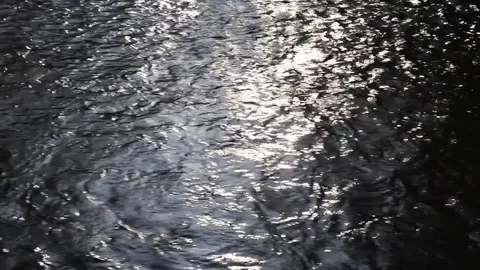 The sun is reflected on the water Stock Footage 83913000