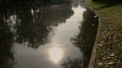 The sun reflected in the water. Stock Footage 114078338