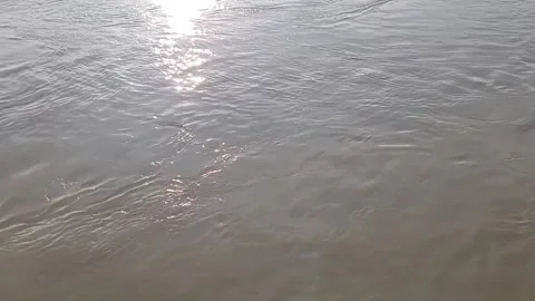 The sun is reflected in the water Stock Footage 295129162