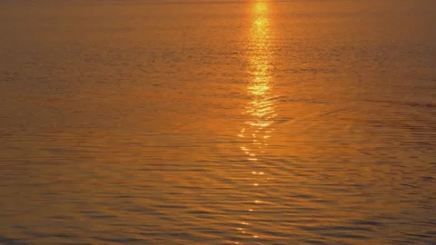 The sun is reflected on the water. Sun reflection on the surface of the water 動画素材 217817831