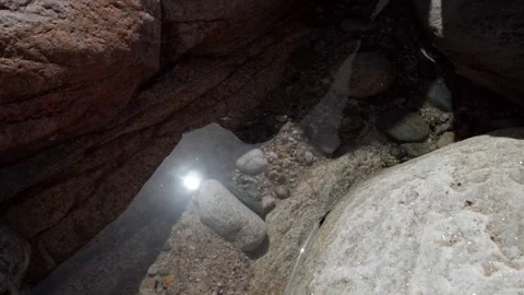 Sun reflected on water on the wild beach in low tide. Wild coast.  Video 4K 库存影片 294393895