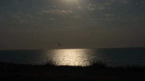 The sun is reflected from the waves in the sea Video stock 147946488