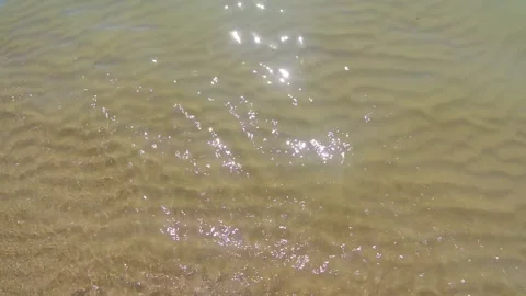 The sun reflected on the waves of the sea as it washes the shore. Stock Footage 250008511