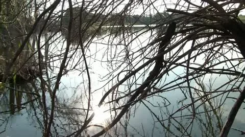 Sun Reflecting on Calm Lake Stockbeeldmateriaal 12614241