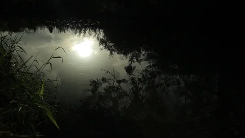 Sun is reflecting on the dark water of a  small creek Stock Footage 86760550