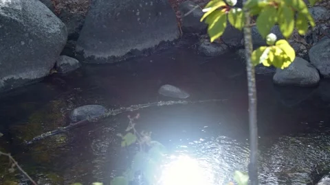 Sun Reflecting Off Pool Of Water In A Creek Stock Footage 154385236