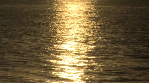 Sun reflecting on sea. Stock Footage 31742295