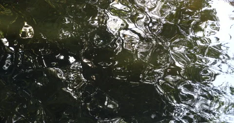 Sun reflecting on water surface Stock Footage 205833895