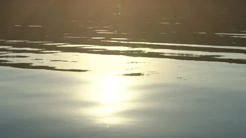 Sun reflecting in water surface at sunnset on the lake, nightfall in nature. Video stock 143898565