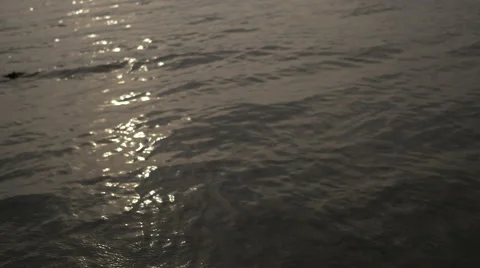 Sun reflecting in the wave Stock Footage 50173525