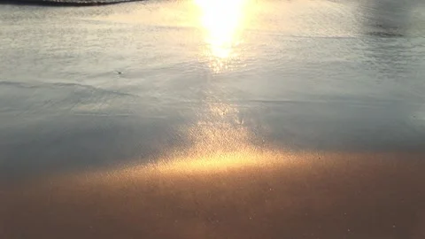 Sun reflection on the beach Video stock 317257209