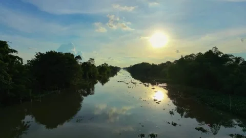 Sun reflection on a calm river in the Mekong Delta Stock-Footage 337697727
