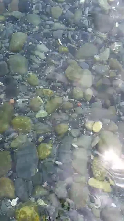 Sun reflection in the Clean water Stock Footage 255505703