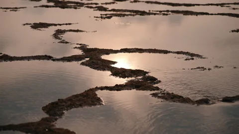 Sun reflection on coastal tide pools Nyang Nyang Beach Stock Footage 303396064